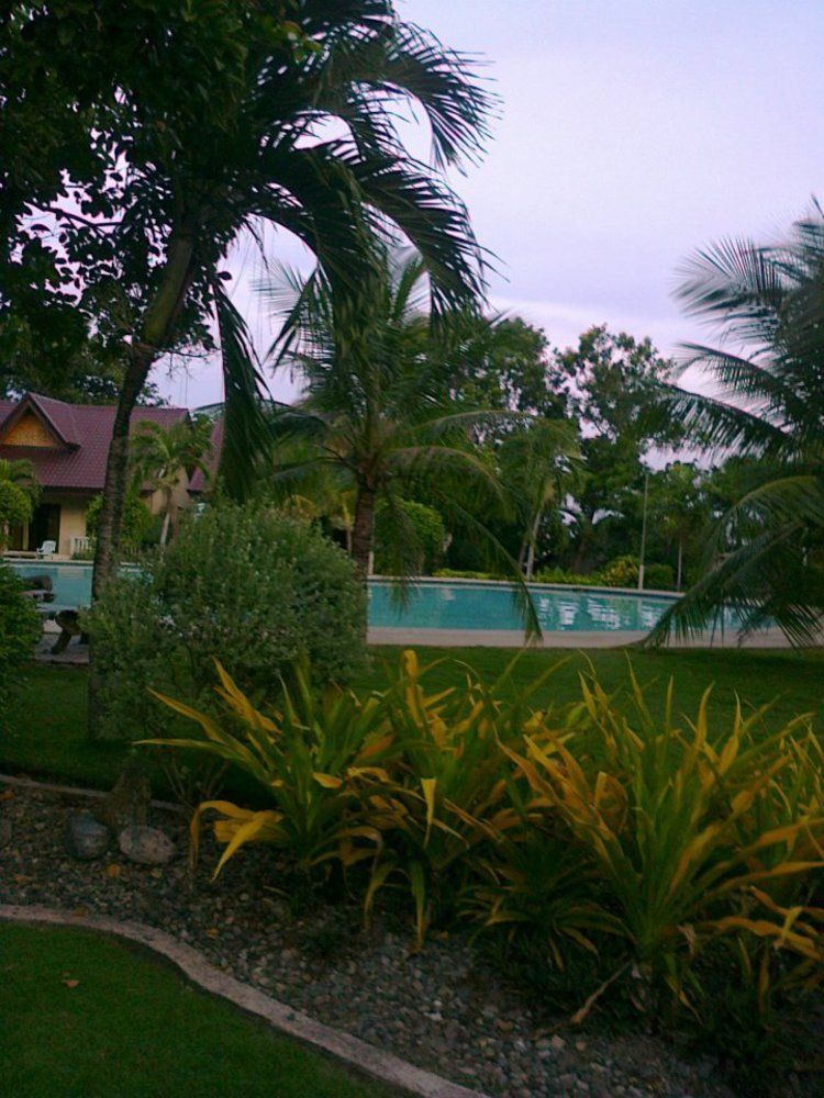 Bohol Divers Resort Totolan Buitenkant foto